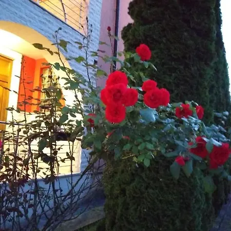 Casa Cu Flori