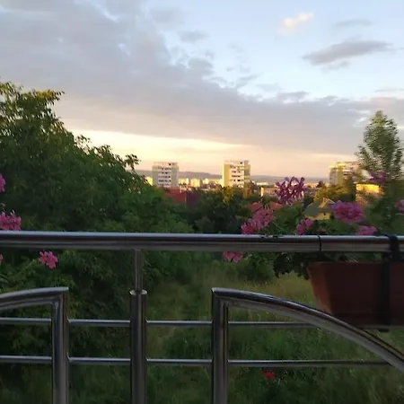 Villa Casa Cu Flori Cluj-Napoca