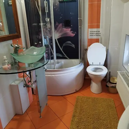 Βίλα Casa Cu Flori *