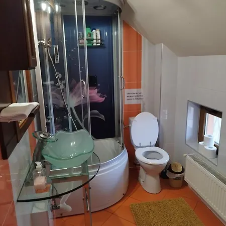 Casa Cu Flori Villa *