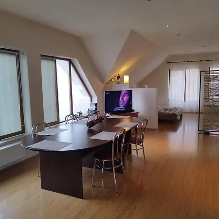 Casa Cu Flori Villa *