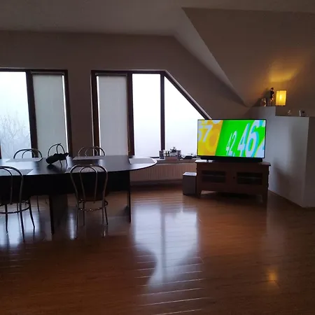 Casa Cu Flori Villa *