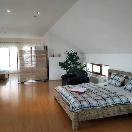 Villa Casa Cu Flori *
