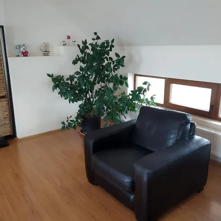 Casa Cu Flori