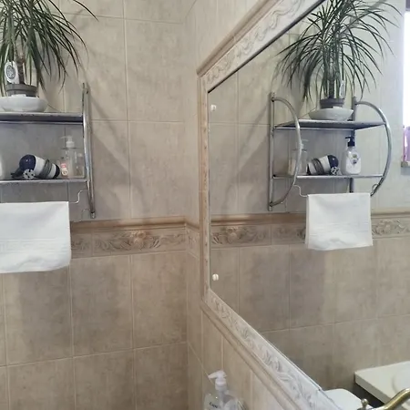 Casa Cu Flori Βίλα