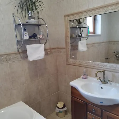 Villa Casa Cu Flori