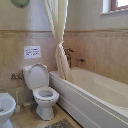 Villa Casa Cu Flori