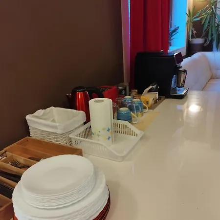 Casa Cu Flori Villa Cluj-Napoca