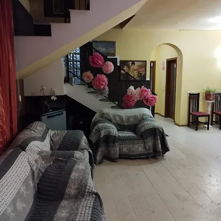 Villa Casa Cu Flori *