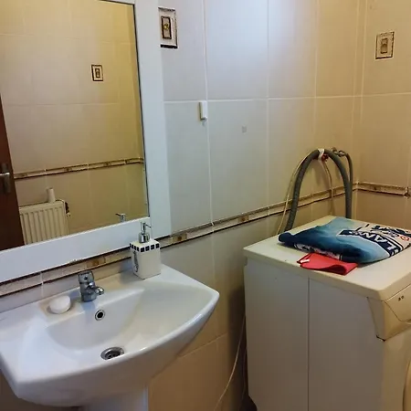 Villa Casa Cu Flori