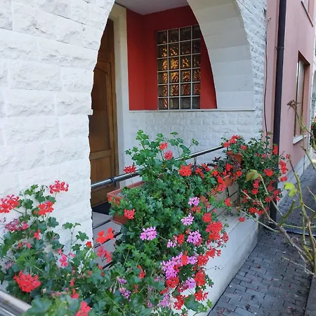 Villa Casa Cu Flori Cluj-Napoca