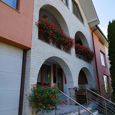 Casa Cu Flori Villa *